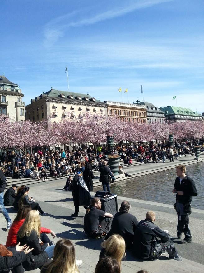 20140416_142621.jpg image