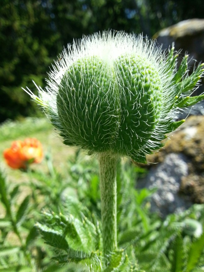 20140529_103020.jpg image