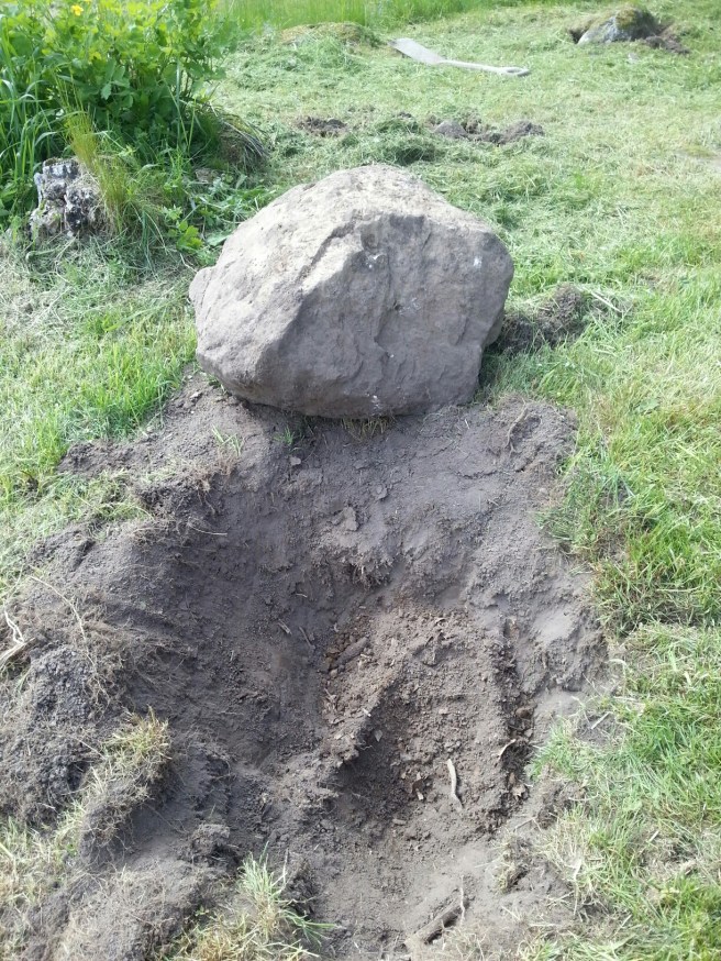 20140531_161153.jpg image