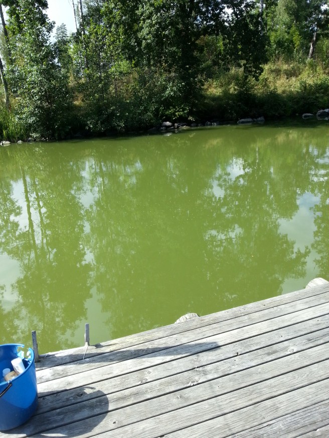 20140814_120807.jpg image