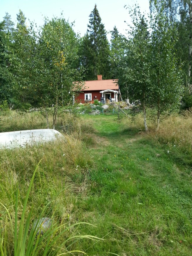 20140814_120918.jpg image