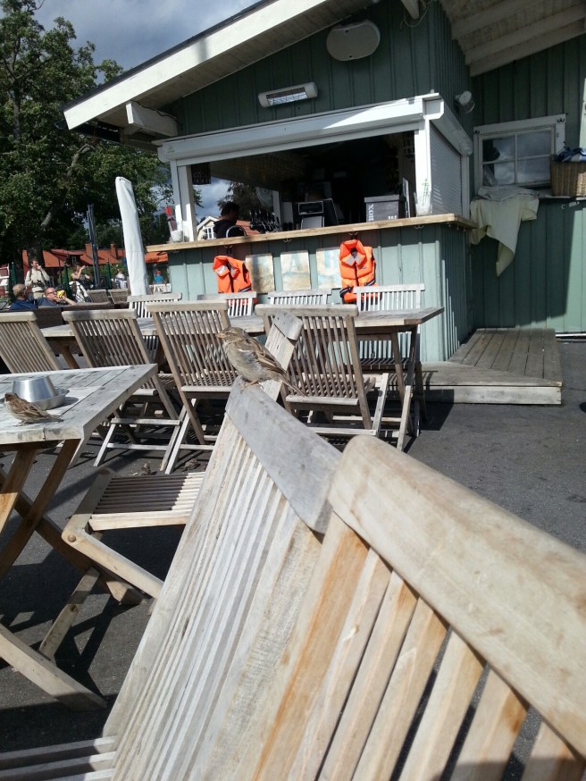 20140818_134145.jpg image