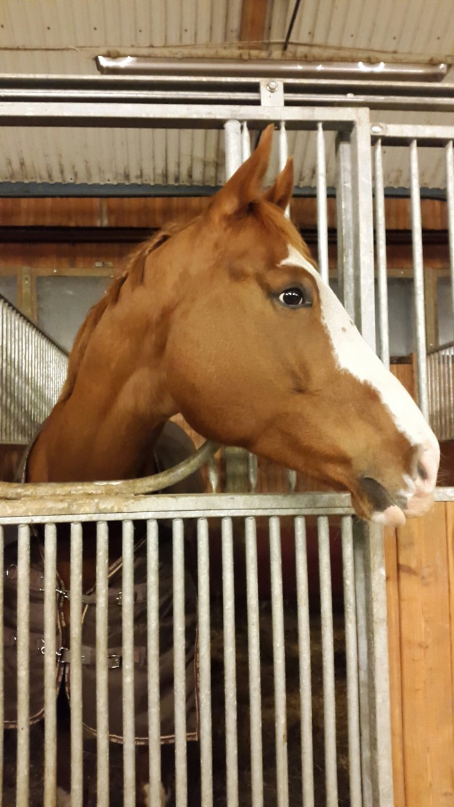 20141203_173156.jpg image