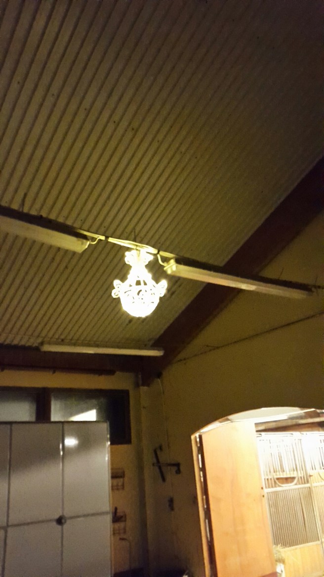 20141203_183048.jpg image