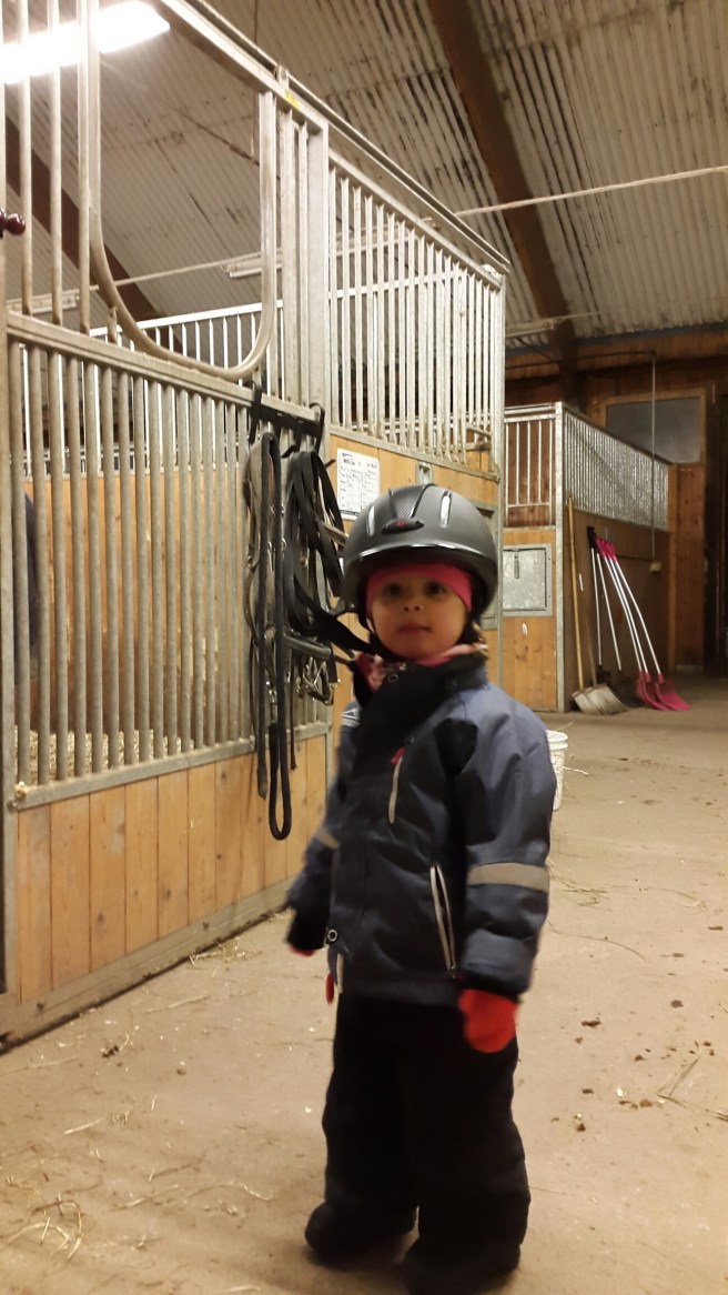 20141203_183113.jpg image