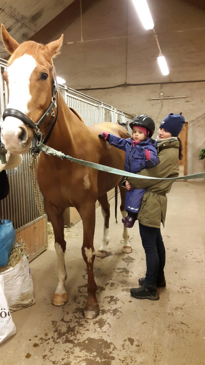 20141213_155044.jpg image