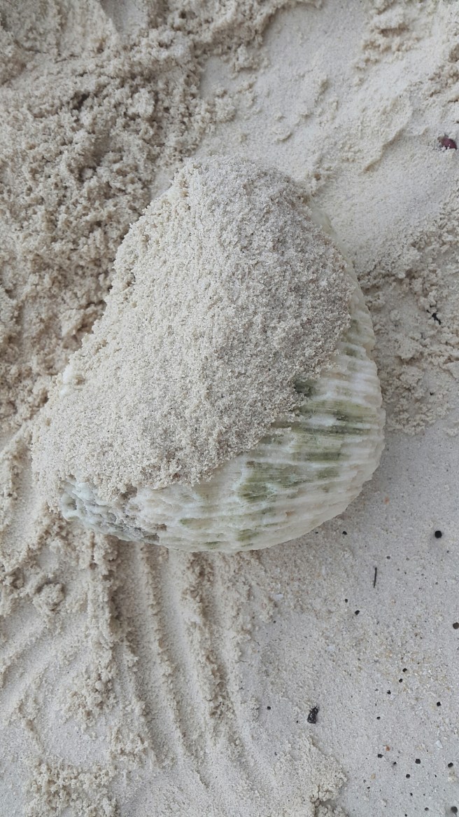 20141218_110448.jpg image