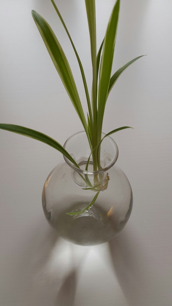 20150121_124659.jpg image