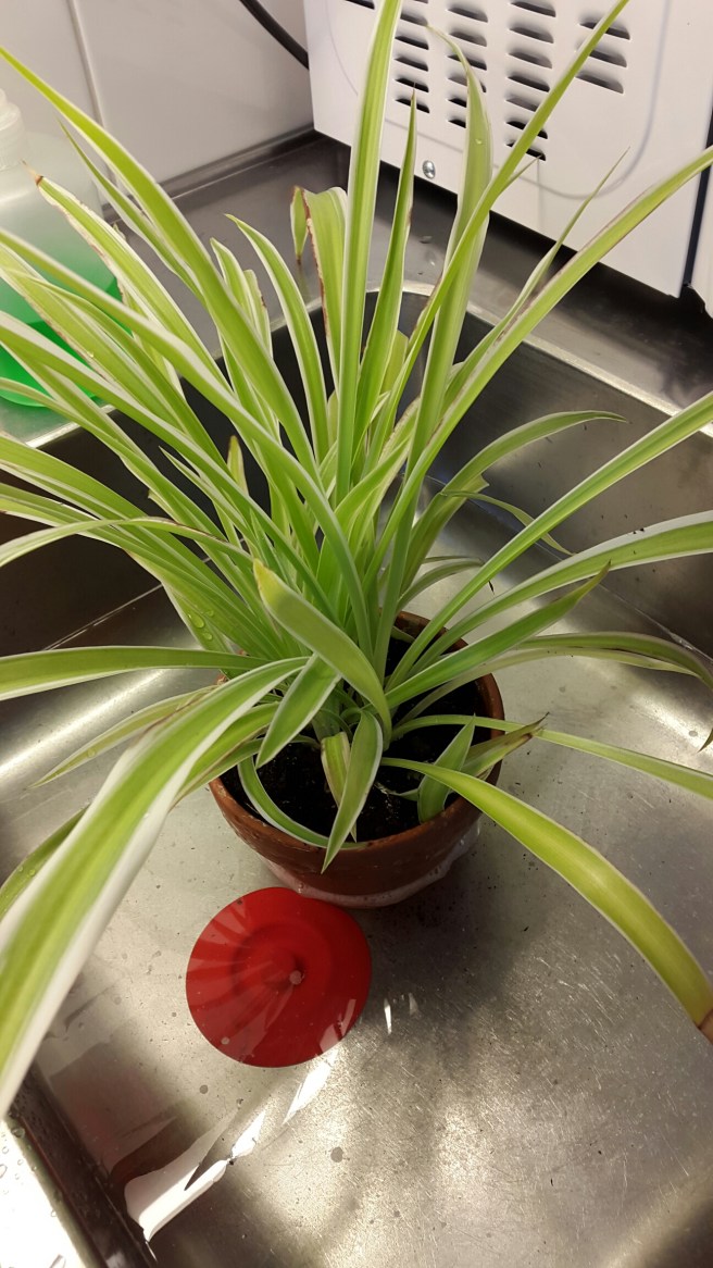 20150121_124706.jpg image