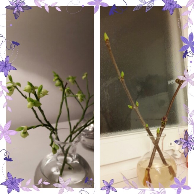 IMG_20150313_184546.jpg image