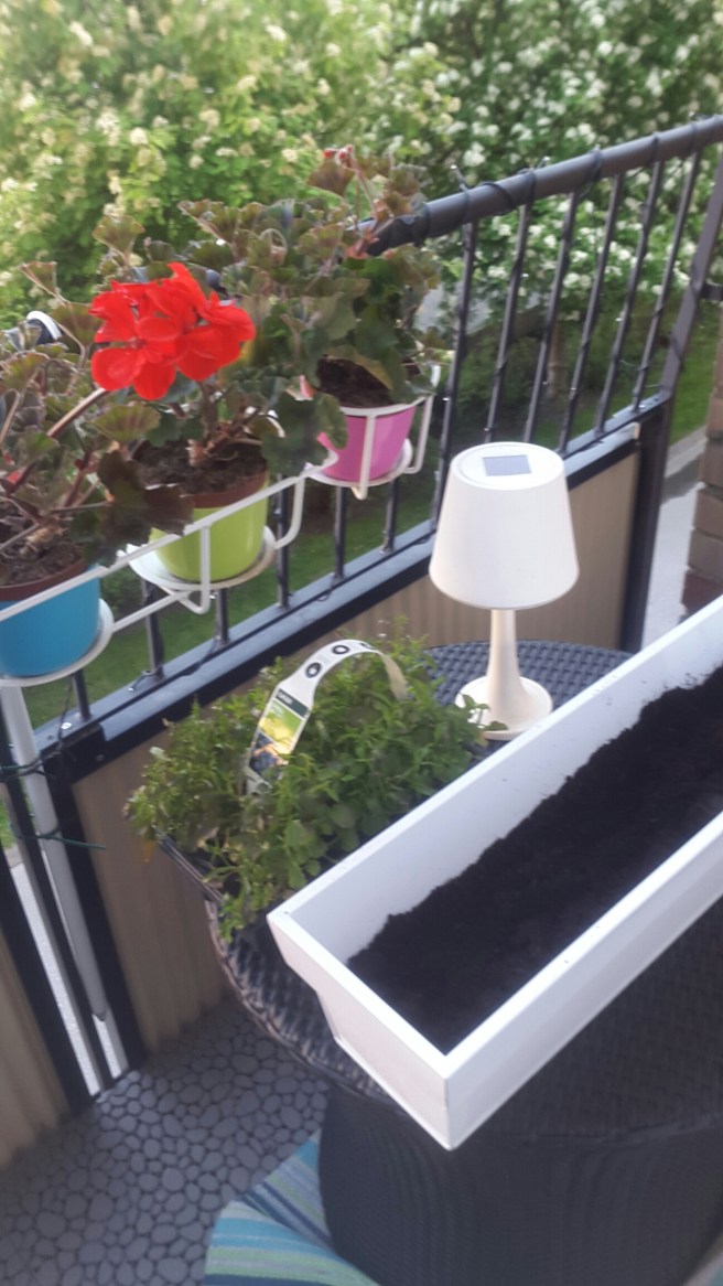 20150604_194726.jpg image