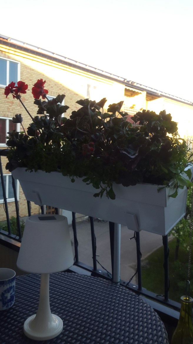 20150604_201528.jpg image