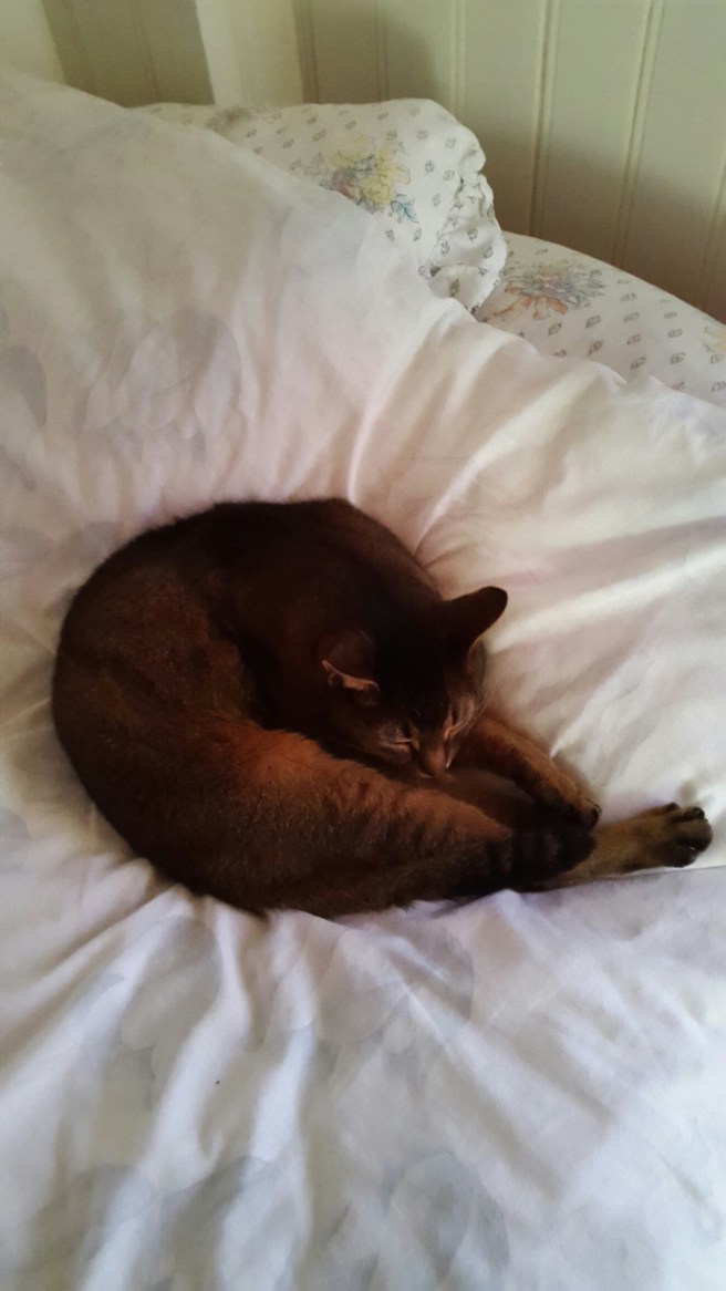 20150802_130251.jpg image