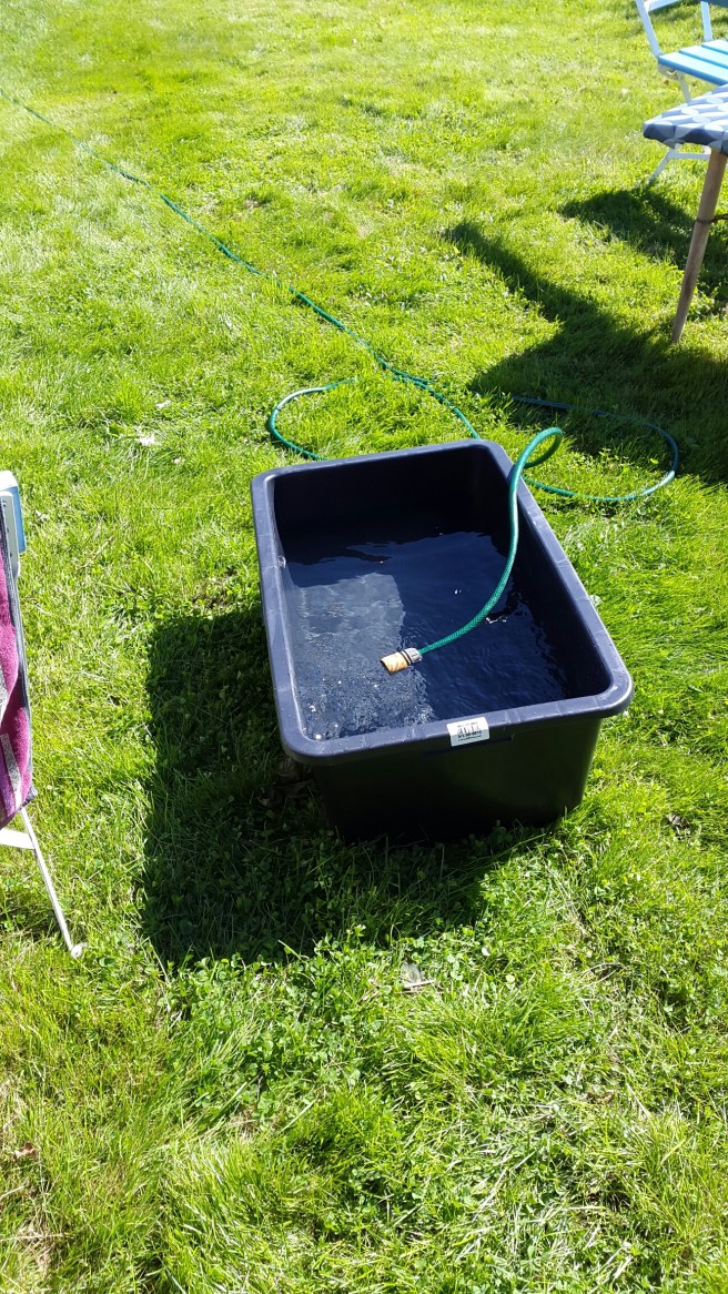 20150813_113510.jpg image