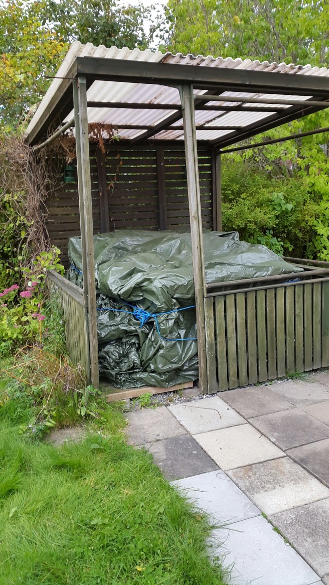 20150927_144037.jpg image