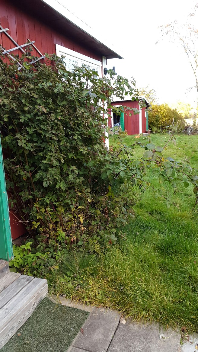 20151018_155930.jpg image