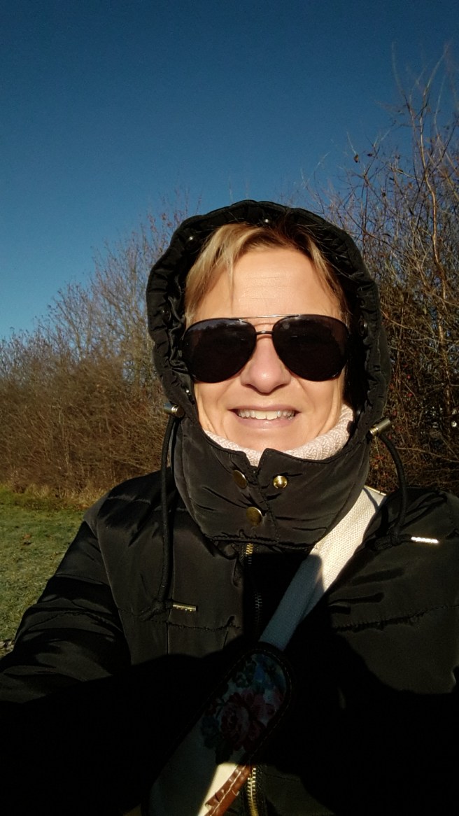 20151121_113108.jpg image