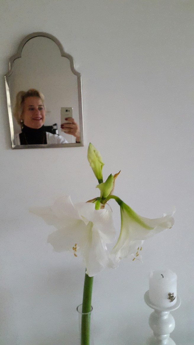 20151205_122656.jpg image