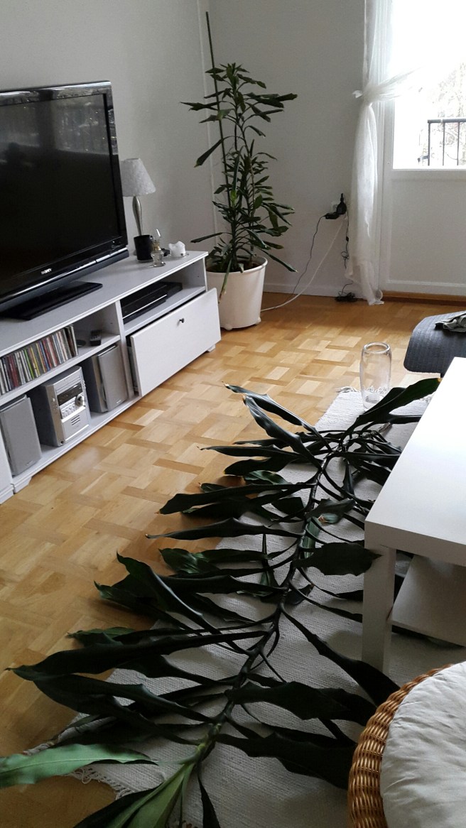 20151206_130512.jpg image