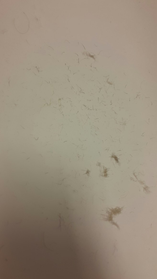 20160114_184839.jpg image