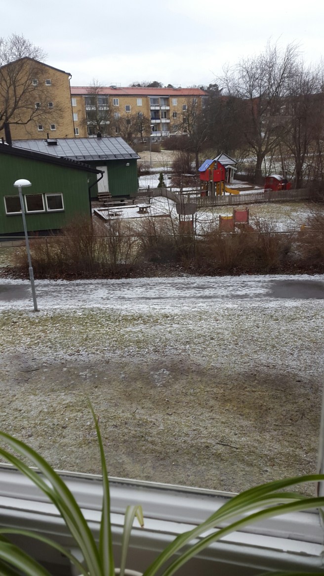 20160306_102451.jpg image