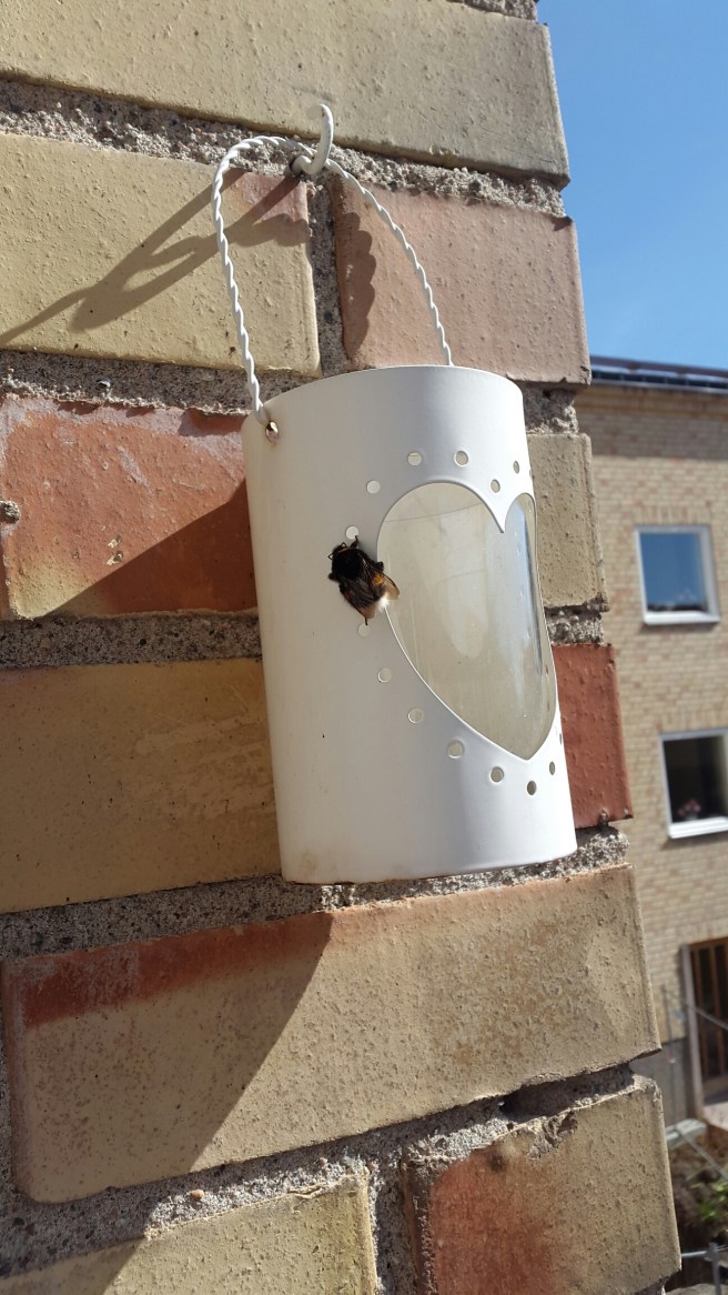 20160410_123836.jpg image