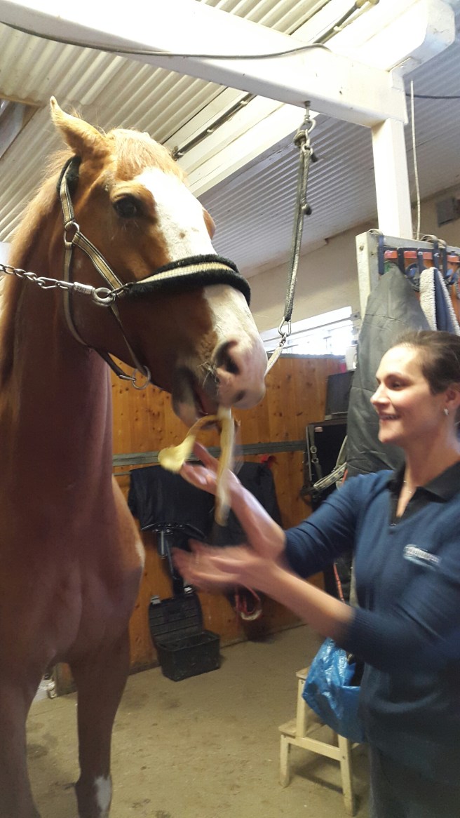 20160417_134243.jpg image