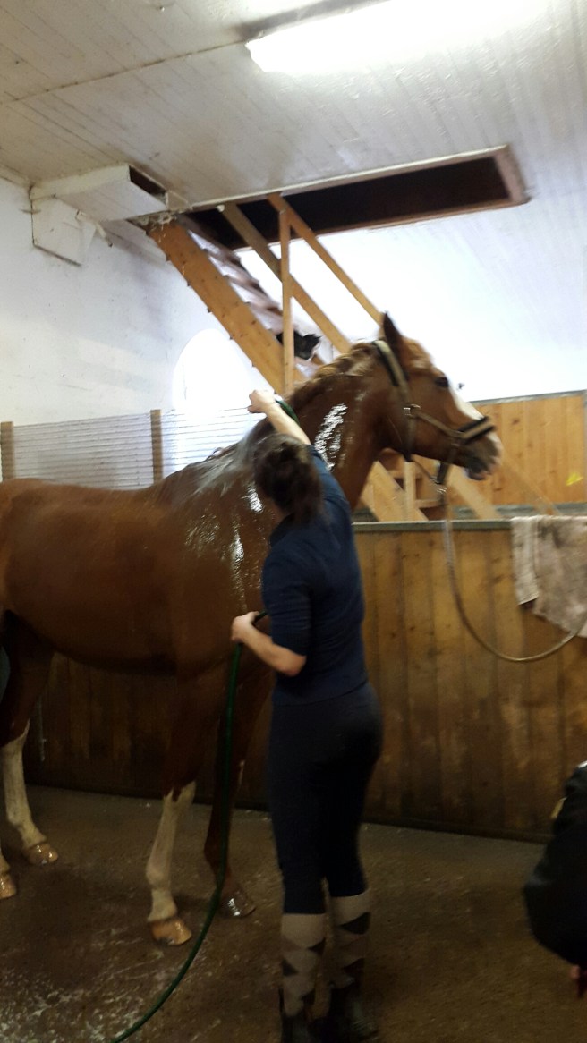 20160417_150930.jpg image