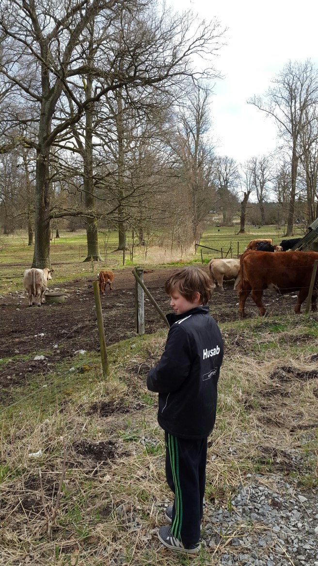 20160417_153445.jpg image